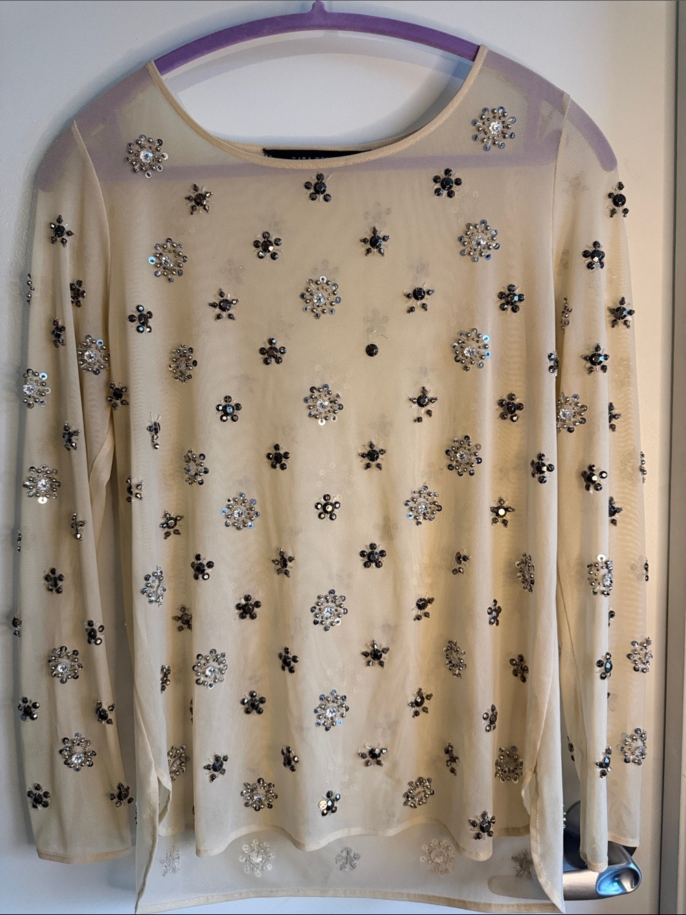Zara Women’s Cream Sequin Mesh Long-Sleeve Top Sz M